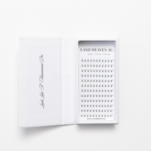 5D Premade Lash Fans